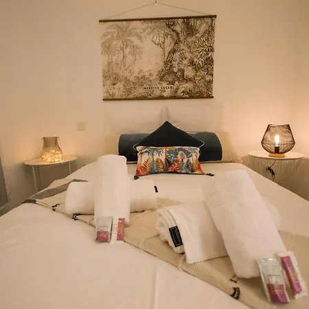 Apartament Le Voltaire.issimo Yourhosthelper